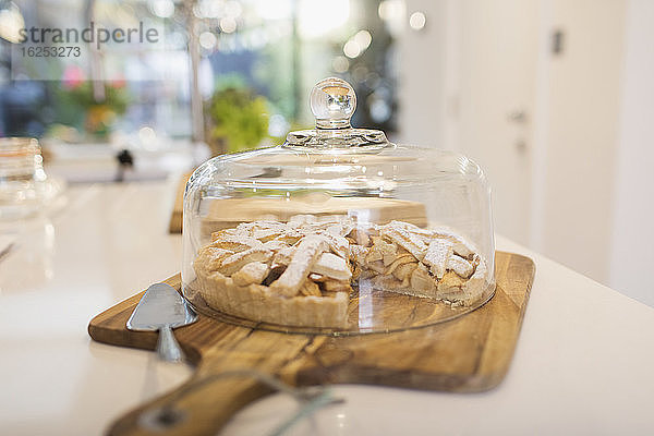 Frischer hausgemachter Apfelkuchen unter der Kuchenkuppel auf Schneidebrett