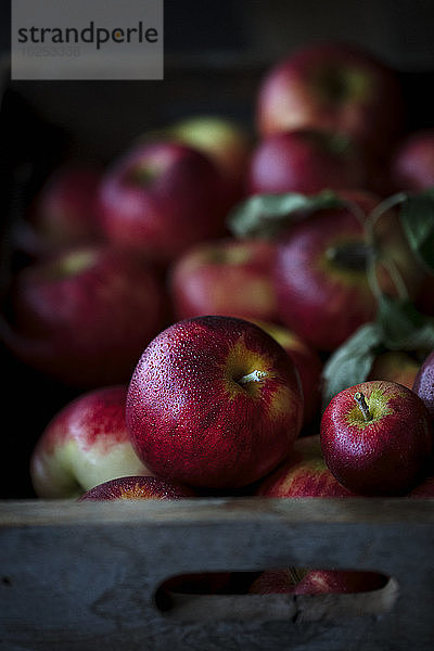 Frische  saftige rote Äpfel