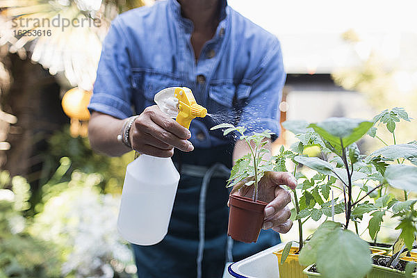 Frau giesst Topfpflanzen mit Sprühflasche auf der Terrasse