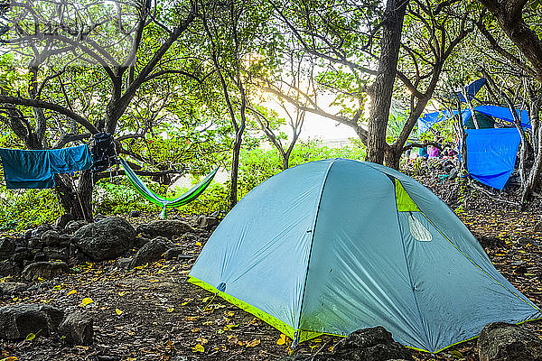 Zeltcamping in Wäldern am Kalalau Beach  Na Pali Coast State Park; Kauai  Hawaii  Vereinigte Staaten von Amerika