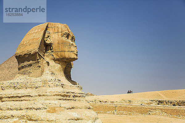 Die Große Sphinx von Gizeh  UNESCO-Weltkulturerbe; Gizeh  Ägypten