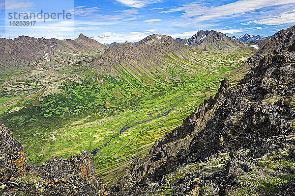 Blick auf das Campbell Creek Valley mit den Chugach Mountains  Chugach State Park  Süd-Zentral-Alaska im Sommer; Anchorage  Alaska  Vereinigte Staaten von Amerika