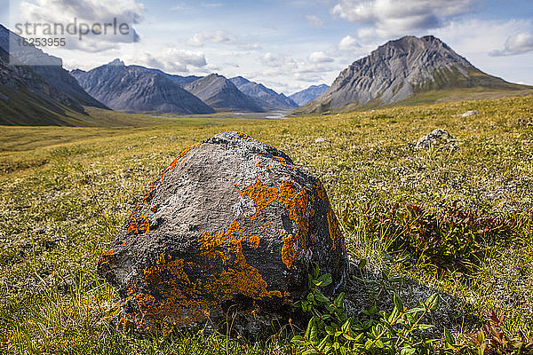 Mit orangefarbenen Flechten bedeckter Felsbrocken sitzt auf der Tundra mit den Brooks Range-Bergen im Hintergrund an einem sonnigen Sommertag im Arctic National Wildlife Refuge; Alaska  Vereinigte Staaten von Amerika