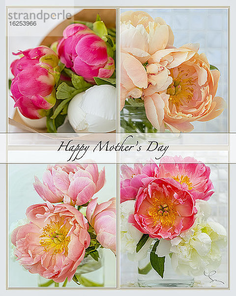Collage aus vier Bildern von Pfingstrosen mit Text; Happy Mother's Day