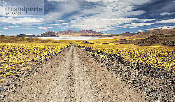 Schotterstraße führt zu einer hochgelegenen Lagune inmitten einer farbenprächtigen Landschaft; San Pedro de Atacama  Antofagasta  Chile