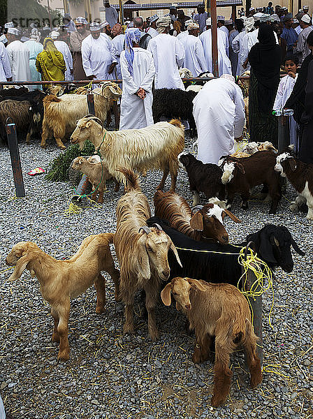 Traditionell gekleidete omanische Männer auf dem Ziegenmarkt am Freitag Souk