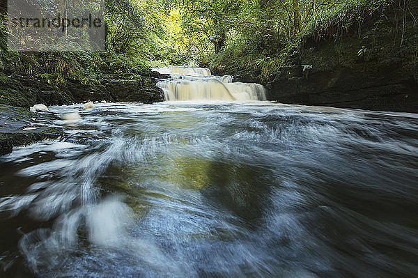 Oberflächenansicht eines kleinen Flusses in einem Wald mit einem Wasserfall im Hintergrund  Clare Glens; Grafschaft Tipperary  Irland