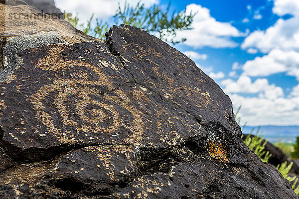 Petroglyphen auf Vulkangestein im Piedras-Marcadas-Canyon  Petroglyphen-Nationaldenkmal an einem sonnigen Frühlingsnachmittag; Albuquerque  New Mexico  Vereinigte Staaten von Amerika