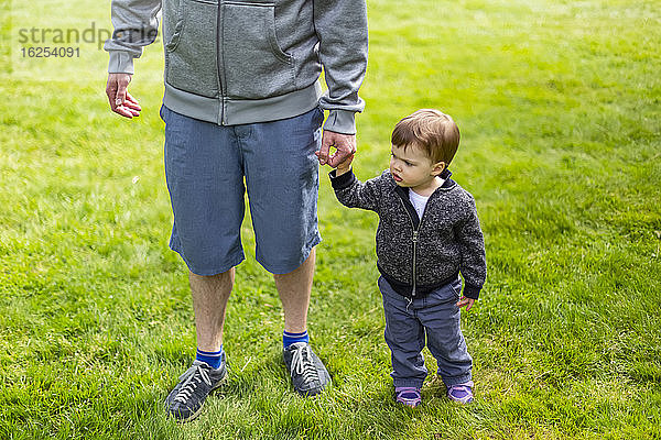 Ein Vater steht mit seiner kleinen Tochter im Gras und hält Händchen; North Vancouver  Britisch-Kolumbien  Kanada