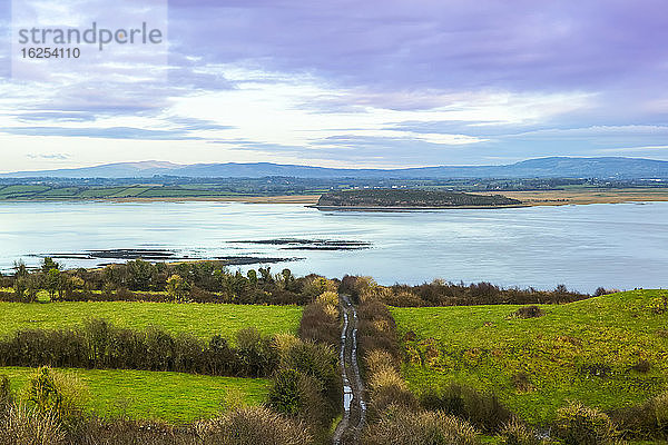 Kleinkalibrige Straße  die durch grüne Felder führt und zum Fluss Shannon führt; Coney Island  Grafschaft Clare  Irland