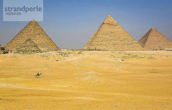 Einheimischer Mann auf Kamel  Gizeh-Pyramidenkomplex  UNESCO-Weltkulturerbe; Gizeh  Ägypten