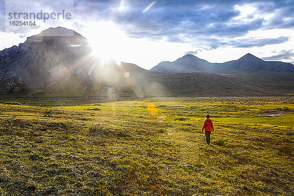 Frau im roten Regenmantel geht auf der Tundra der untergehenden Spätsommersonne in der Brooks Range entgegen  Arctic National Wildlife Refuge; Alaska  Vereinigte Staaten von Amerika