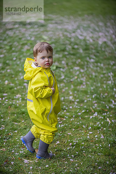 Porträt eines jungen Mädchens  das im Park im gelben Regenanzug und in grauen Gummistiefeln auf dem Gras spazieren geht und über die Schulter zurückblickt; North Vancouver  British Columbia  Kanada