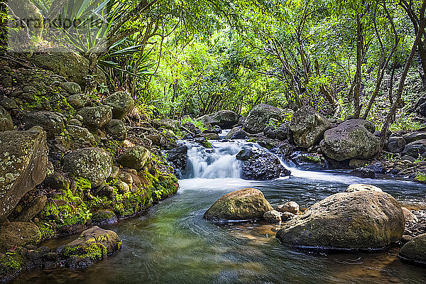 Kaskaden des Kalalau-Stromes im tropischen Regenwald  Kalalau-Tal  Na Pali Coast State Park; Kauai  Hawaii  Vereinigte Staaten von Amerika