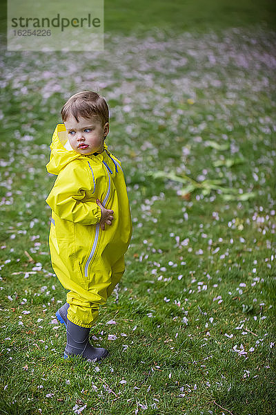 Porträt eines jungen Mädchens  das im Park im gelben Regenanzug und in grauen Gummistiefeln auf dem Gras spazieren geht und über die Schulter zurückblickt; North Vancouver  British Columbia  Kanada