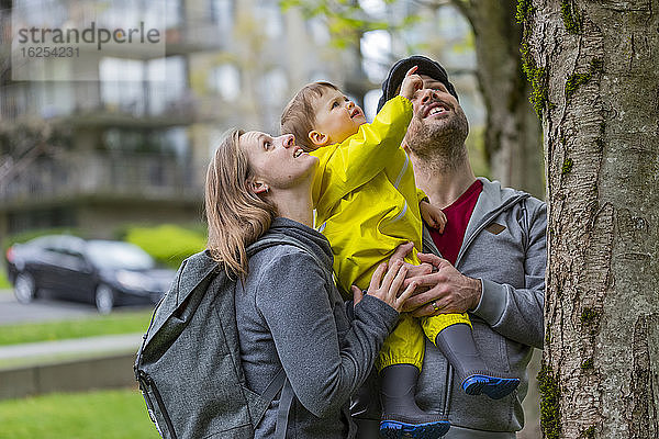 Eltern halten ihre kleine Tochter  während sie an einem Frühlingstag im Park auf einen Baum schauen; North Vancouver  British Columbia  Kanada