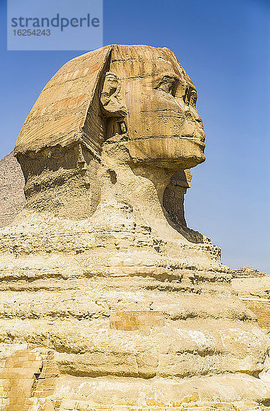 Die Große Sphinx von Gizeh  UNESCO-Weltkulturerbe; Gizeh  Ägypten
