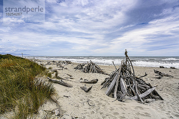 Treibholzstapel am Haast Beach  Südinsel; Whataroa  Westküstenregion  Neuseeland