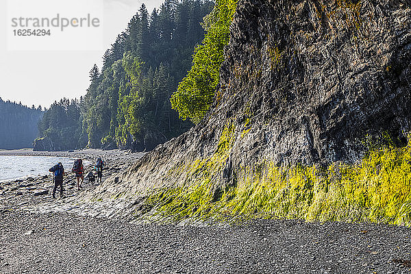 Millennials (ein Mann  zwei Frauen) auf Rucksacktour an einem felsigen Strand mit ihrem schwarzen Laborhund ausserhalb von Seward  Alaska zum Caine's Head mit der Resurrection Bay zur Linken  an einem dunstigen Sommertag; Seward  Alaska  Vereinigte Staaten von Amerika