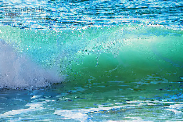 Türkisfarbenes Wasser einer rollenden Welle am Ufer; Oahu  Hawaii  Vereinigte Staaten von Amerika