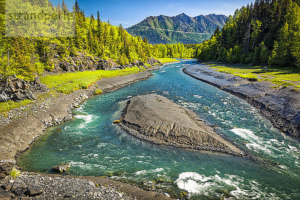 Bird Creek mit grünem Wald  im Hintergrund die Chugach Mountains  Chugach State Park  Süd-Zentral-Alaska im Frühling; Portage  Alaska  Vereinigte Staaten von Amerika
