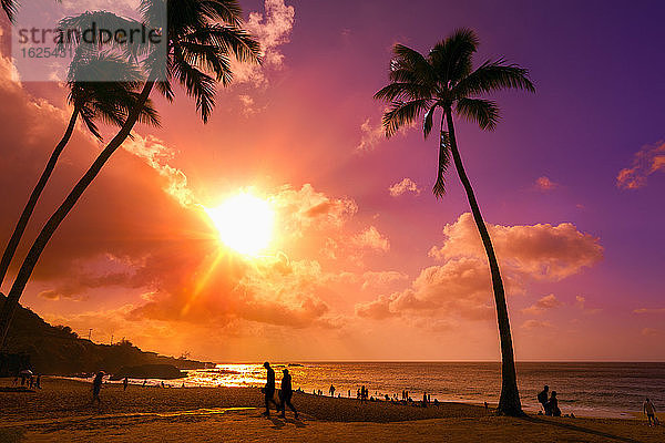 Silhouetten von Palmen und Menschen im Waimea Bay Beach Park bei Sonnenuntergang; Oahu  Hawaii  Vereinigte Staaten von Amerika