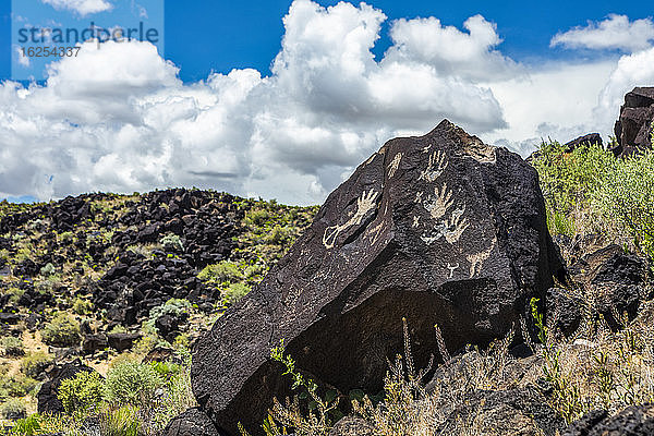 Petroglyphen auf Vulkangestein mit Salbeibusch im Piedras-Marcadas-Canyon  Petroglyphen-Nationaldenkmal an einem sonnigen Frühlingsnachmittag; Albuquerque  New Mexico  Vereinigte Staaten von Amerika