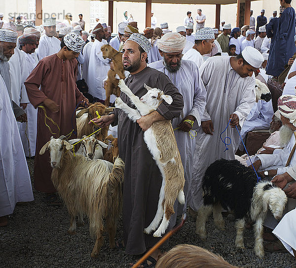 Traditionell gekleidete omanische Männer inspizieren Ziegen auf dem Ziegenmarkt im Friday Souk