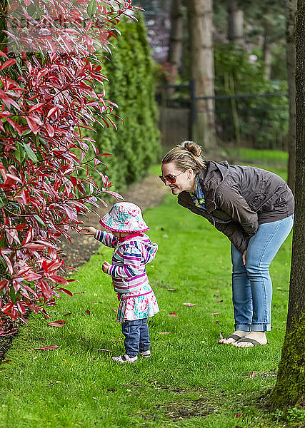 Mutter und Tochter betrachten das Laub im Park an einem bedeckten Frühlingstag; Surrey  Britisch-Kolumbien  Kanada
