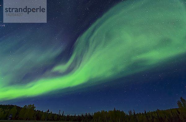 Ein leuchtend grünes Polarlicht weht über den Himmel über dem Ufer des Birch Lake  Innenalaska im Herbst; Fairbanks  Alaska  Vereinigte Staaten von Amerika