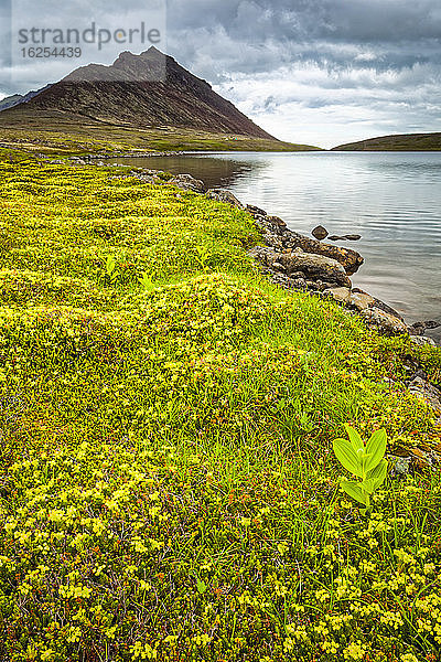Rabbit Lake umgeben von Tundra-Blumen  im Hintergrund der McHugh Peak. Chugach State Park  Süd-Zentral-Alaska im Sommer; Anchorage  Alaska  Vereinigte Staaten von Amerika