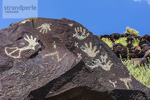 Petroglyphen auf Vulkangestein mit Salbeibusch im Piedras-Marcadas-Canyon  Petroglyphen-Nationaldenkmal an einem sonnigen Frühlingsnachmittag; Albuquerque  New Mexico  Vereinigte Staaten von Amerika