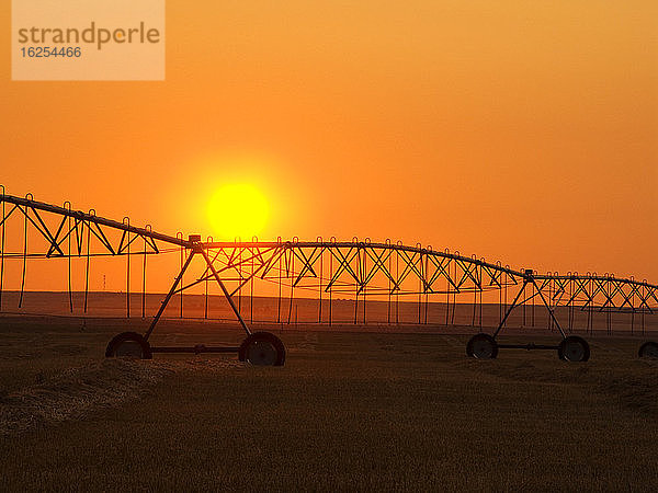 Landwirtschaft - Zentrales Pivot-Bewässerungssystem  das sich bei Sonnenaufgang als Silhouette auf einem Heufeld abzeichnet. Das zentrale Bewässerungssystem ist nicht in Betrieb  da das Heufeld vor dem Ballenpressen geschnitten und zum Trocknen geschwadet wurde / Alberta  Kanada.