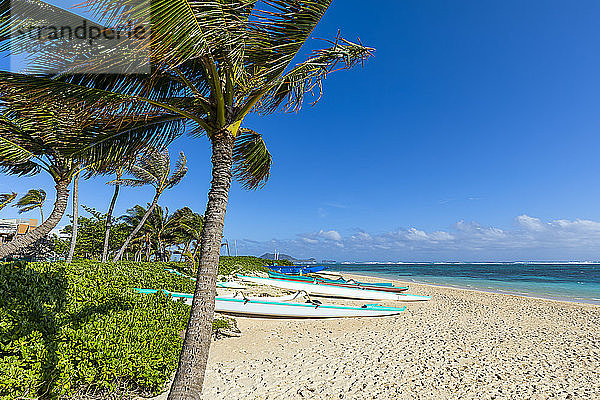 Lanikai-Strand und Kajaks auf dem weißen Sand; Oahu  Hawaii  Vereinigte Staaten von Amerika