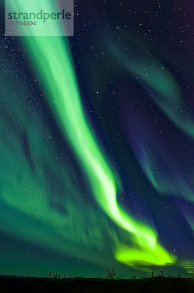Intensives pfeilartiges Polarlicht zieht über den Himmel  Taylor Highway  Inneres Alaska im Herbst; Alaska  Vereinigte Staaten von Amerika