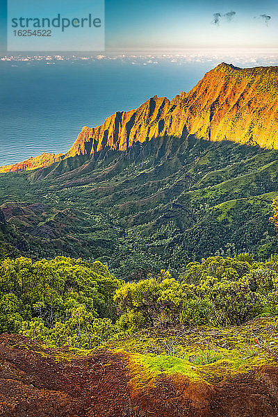 Blick vom Pu'u O Kila Lookout auf die Küste von Na Pali und das Kalalau-Tal  Sonnenuntergangsglühen auf der schroffen Klippe  Koke'e State Park; Kauai  Hawaii  Vereinigte Staaten von Amerika