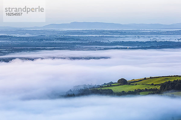 Grüne Felder stehen über dem Nebel im Shannon-Tal im Westen Irlands; Killaloe  Grafschaft Clare  Irland