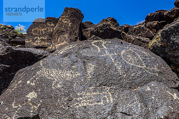 Petroglyphen auf Vulkangestein im Piedras-Marcadas-Canyon  Petroglyphen-Nationaldenkmal an einem sonnigen Frühlingsnachmittag; Albuquerque  New Mexico  Vereinigte Staaten von Amerika