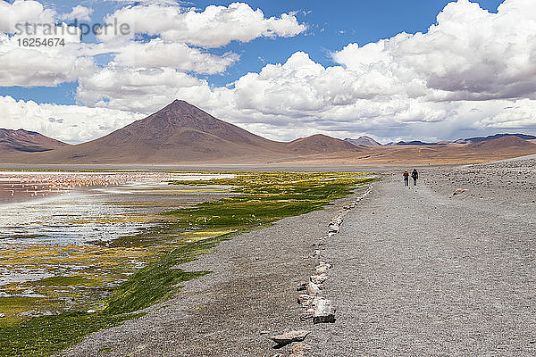 Zwei Menschen gehen auf einer Straße an Flamingos vorbei an der Laguna Colorada  Eduardo-Avaroa-Nationalpark; Abteilung Potosi  Bolivien