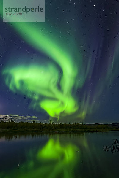Leuchtend grünes Polarlicht wirbelt über dem Harding-See mit Spiegelungen  Inneres Alaska im Herbst; Fairbanks  Alaska  Vereinigte Staaten von Amerika