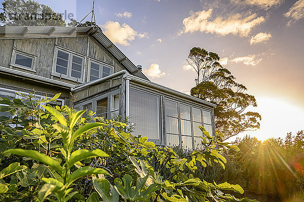 Ein Strandhaus umgeben von üppigem Laub und einem Sonnenausbruch durch die Wolken bei Sonnenuntergang; Waiheke Island  Region Auckland  Neuseeland