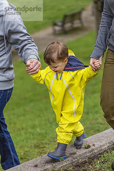 Nahaufnahme einer Mutter und eines Vaters  die mit ihrer kleinen Tochter Händchen halten  während sie im Park auf einem Betonvorsprung entlang läuft; Surrey  British Columbia  Kanada