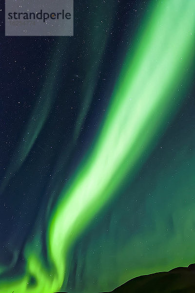 Intensives pfeilartiges Polarlicht zieht über den Himmel  Taylor Highway  Inneres Alaska im Herbst; Alaska  Vereinigte Staaten von Amerika