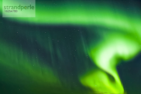 Helles Polarlicht weht über dem Taylor Highway  Inneres Alaska im Herbst; Alaska  Vereinigte Staaten von Amerika