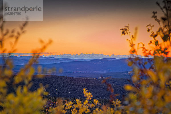 Sonnenuntergang hinter der Alaska Range durch herbstfärbiges Laub betrachtet  Taylor Highway  Inneres Alaska im Herbst; Alaska  Vereinigte Staaten von Amerika