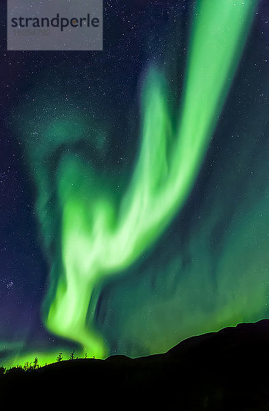 Intensives geweihähnliches Polarlicht  das im Herbst über dem Mount Fairplay  Taylor Highway  im Inneren Alaskas weht; Alaska  Vereinigte Staaten von Amerika