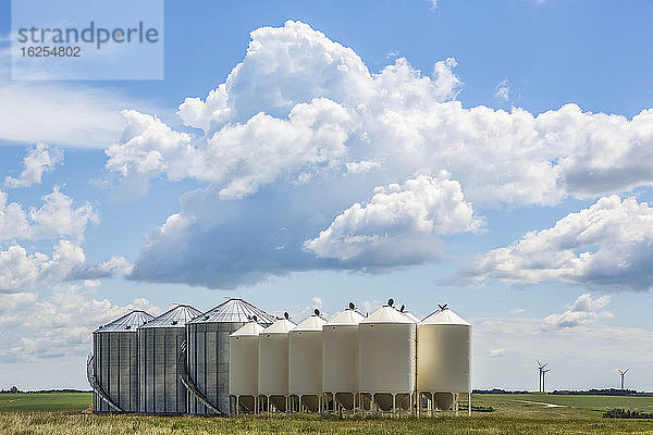 Silos in einer Reihe auf einem grünen Ackerland unter einem großen blauen Himmel mit Wolken und Windturbinen im Hintergrund; Alberta  Kanada