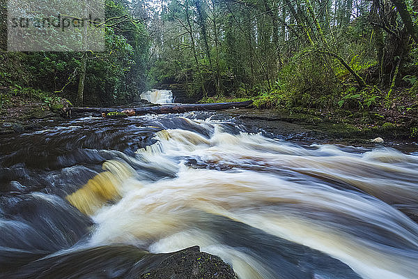 Kaskaden des Flusses Clare Glens an einem wolkigen  launischen Tag; Grafschaft Tipperary  Irland