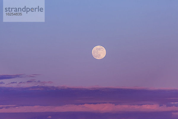 Vollmond am violetten Himmel in der Abenddämmerung mit einer Wolkenschicht am Horizont; Surrey  Britisch-Kolumbien  Kanada