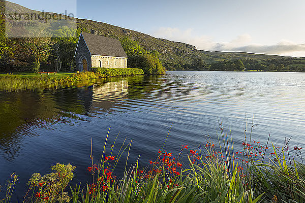 Rote Blumen und grüne Bäume bei der alten Kapelle von Gougane Barra an einem schönen sonnigen Morgen; Gougane Barra  Grafschaft Cork  Irland